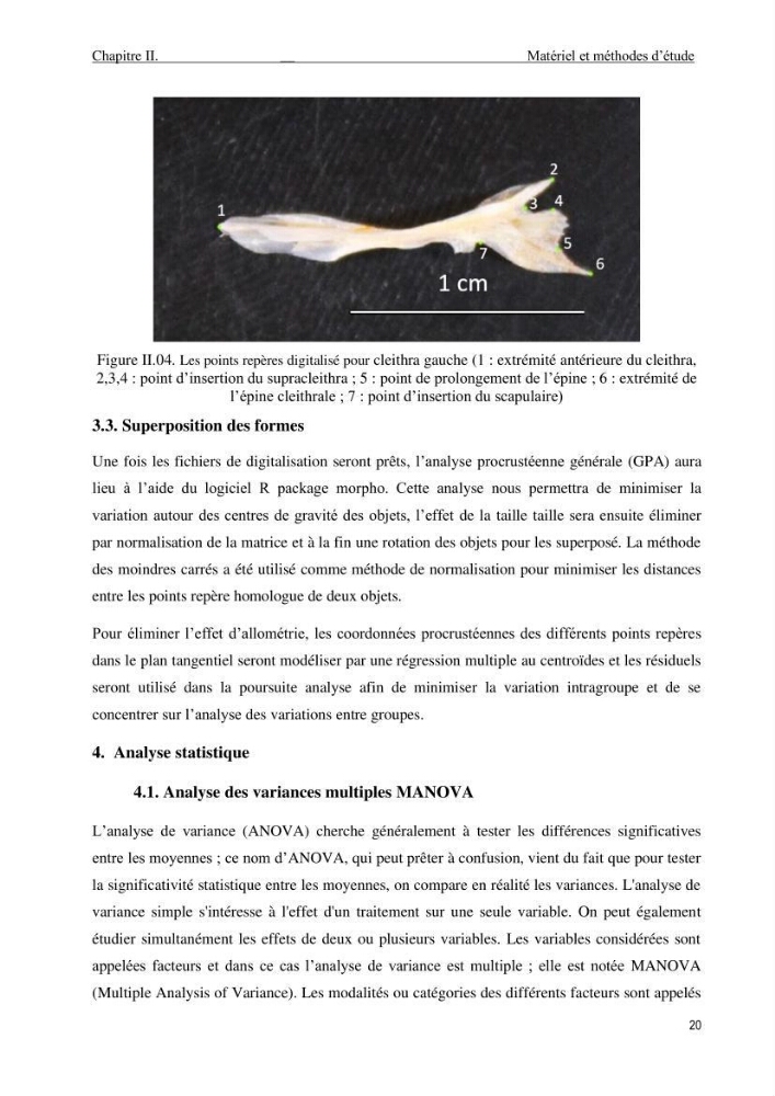 Description des variations morpho-géométrique entre les espèces et les populations des Triglidae (Actinopterygii, Scorpaeniformes) dans le bassin algérien: