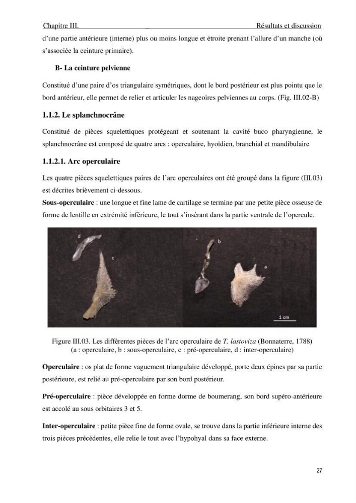 Description des variations morpho-géométrique entre les espèces et les populations des Triglidae (Actinopterygii, Scorpaeniformes) dans le bassin algérien: