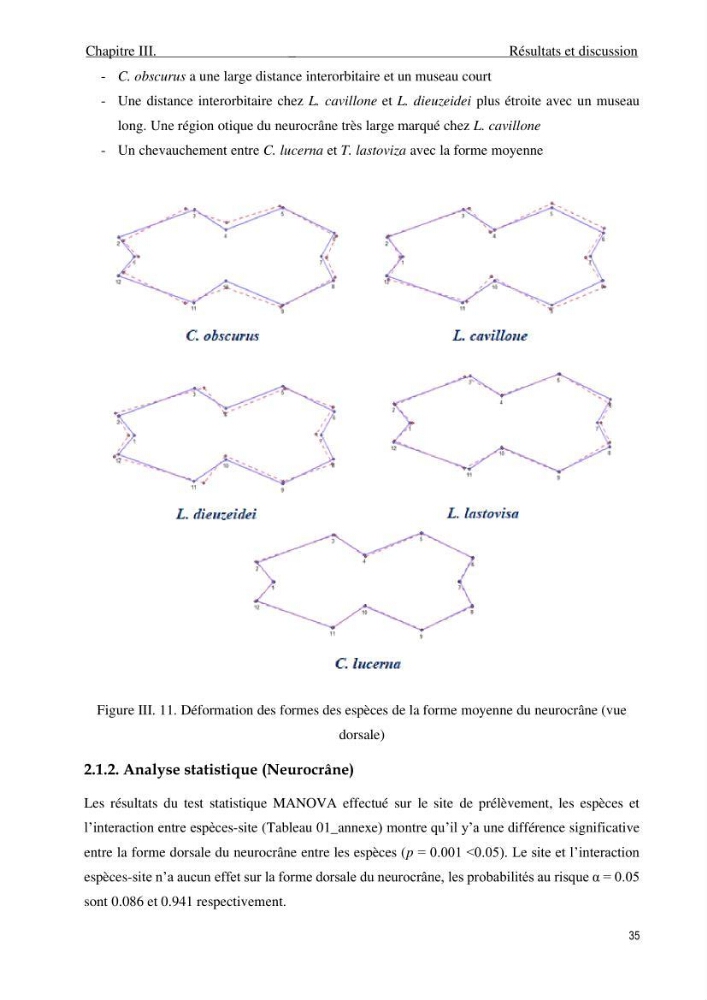 Description des variations morpho-géométrique entre les espèces et les populations des Triglidae (Actinopterygii, Scorpaeniformes) dans le bassin algérien: