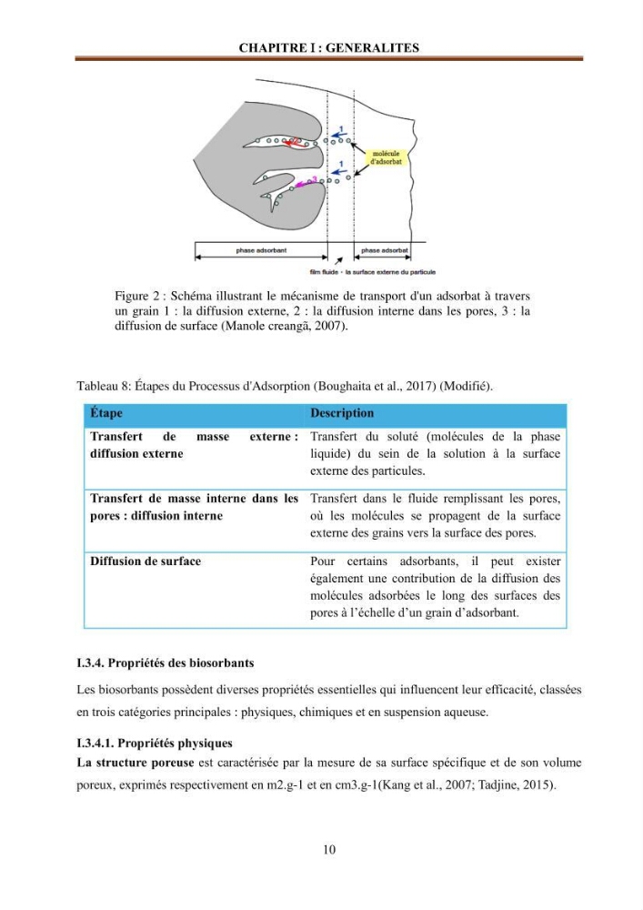 Etude de la valorisation d\'une biomasse marine en vue de son utilisation pour le traitement de l\'eau