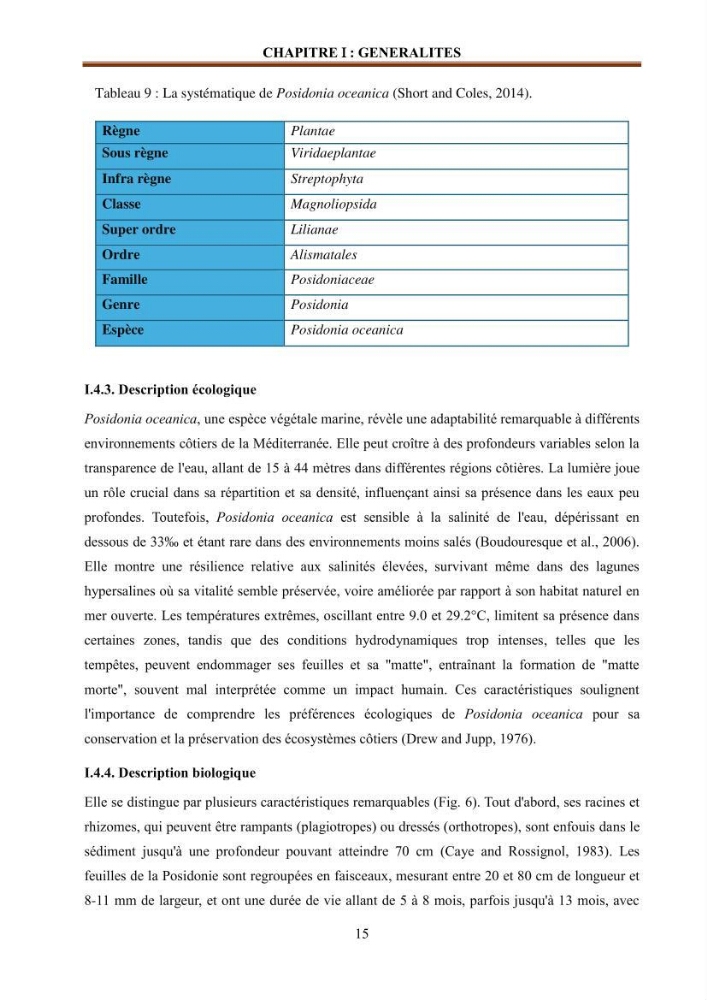 Etude de la valorisation d\'une biomasse marine en vue de son utilisation pour le traitement de l\'eau