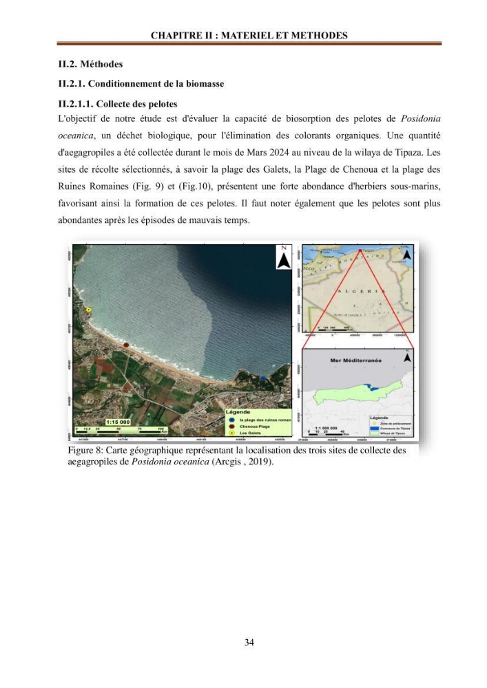 Etude de la valorisation d\'une biomasse marine en vue de son utilisation pour le traitement de l\'eau