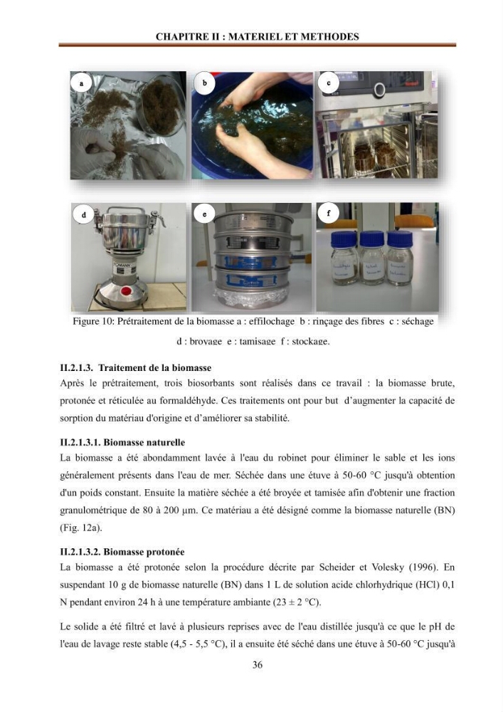Etude de la valorisation d\'une biomasse marine en vue de son utilisation pour le traitement de l\'eau