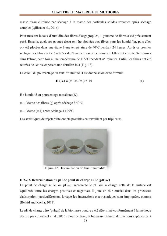 Etude de la valorisation d\'une biomasse marine en vue de son utilisation pour le traitement de l\'eau