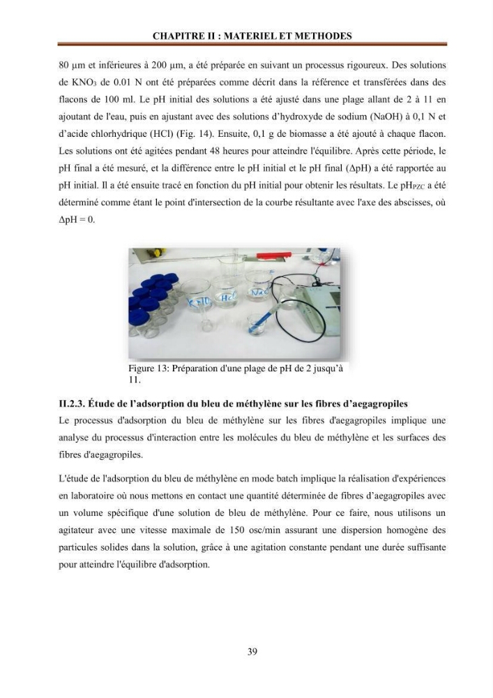 Etude de la valorisation d\'une biomasse marine en vue de son utilisation pour le traitement de l\'eau