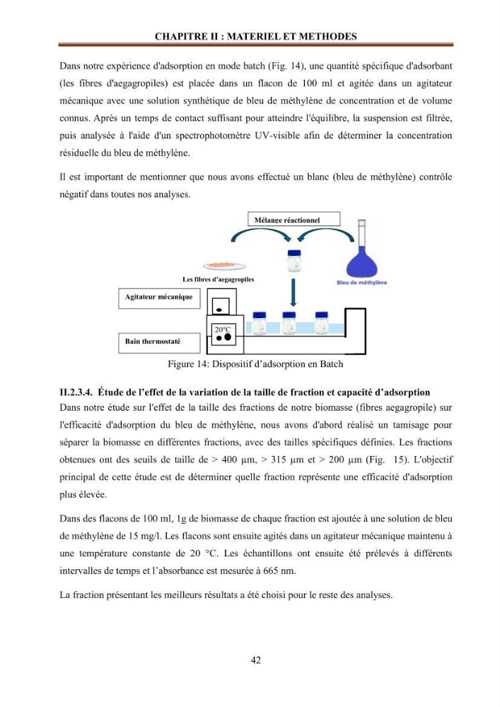 Etude de la valorisation d\'une biomasse marine en vue de son utilisation pour le traitement de l\'eau