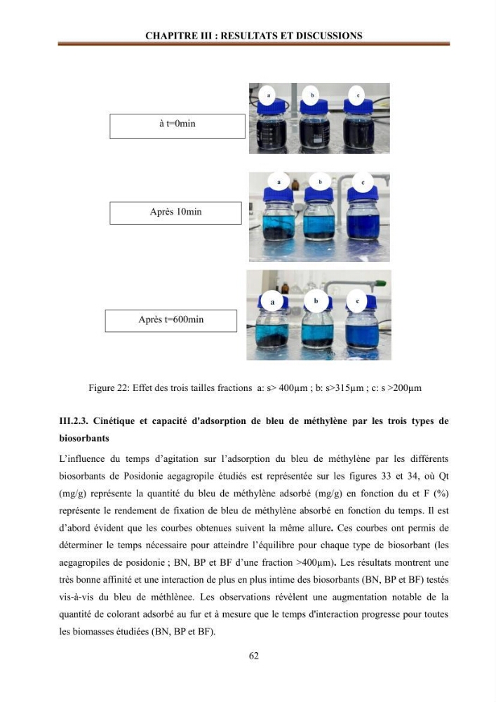 Etude de la valorisation d\'une biomasse marine en vue de son utilisation pour le traitement de l\'eau