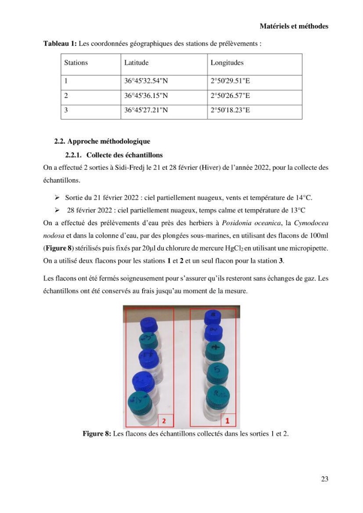 Estimation du carbone bleu dans les herbiers sous-marins de Sidi-Fredj: Cymodocea nodosa et Posidonia oceanica.
