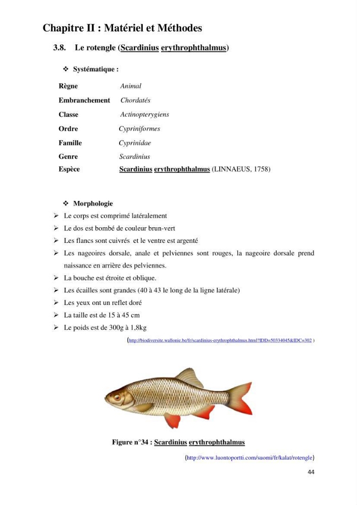 Evaluation des ressources piscicoles d\'un plan d\'eau : le barrage de Boukerdane (Wilaya de Tipaza)