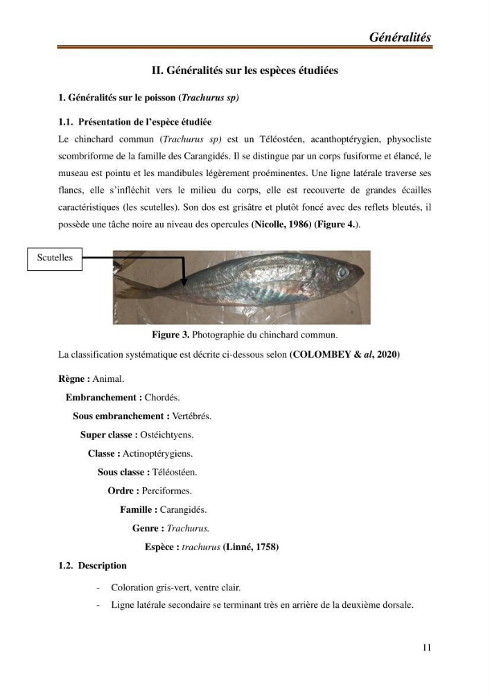 Contribution à l\'étude de la valorisation des coproduits des éspèces halieutique de la pêcherie algérienne: