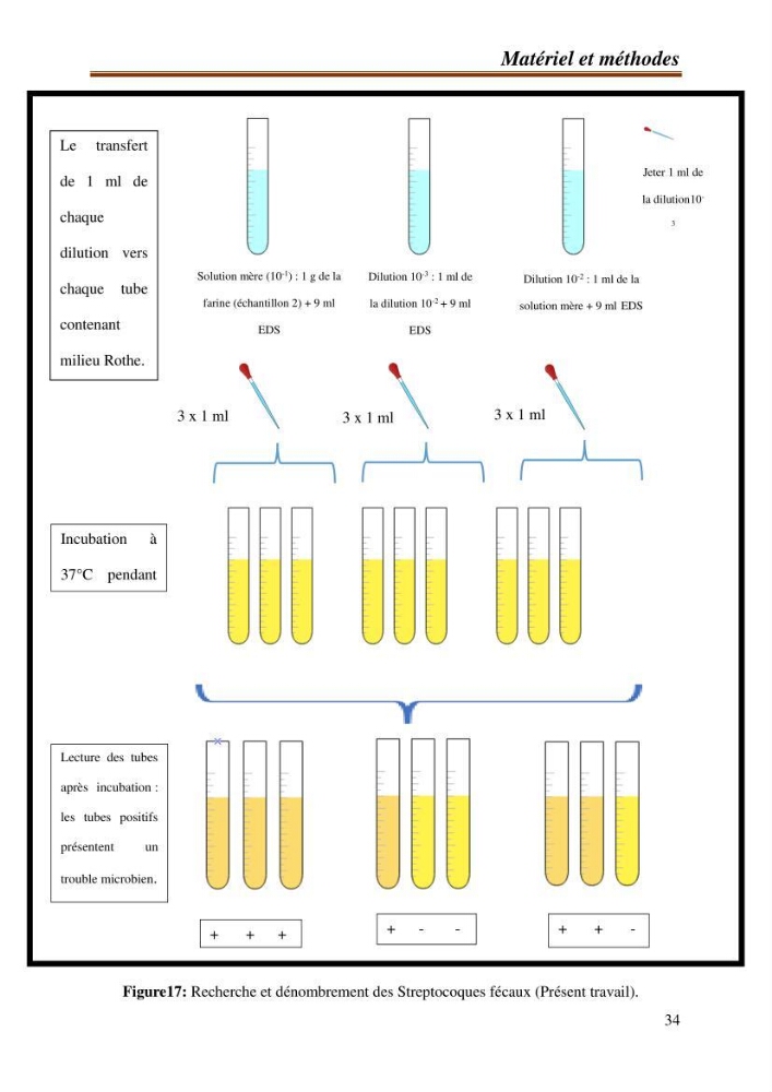Contribution à l\'étude de la valorisation des coproduits des éspèces halieutique de la pêcherie algérienne: