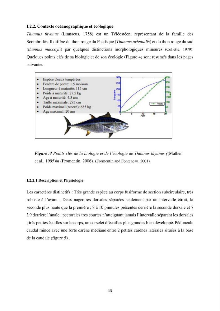 Contribution de la télédétection à la pêche du grand Pélagique Thunnus thynnus (linnaeus, 1758) dans la cote algérienne