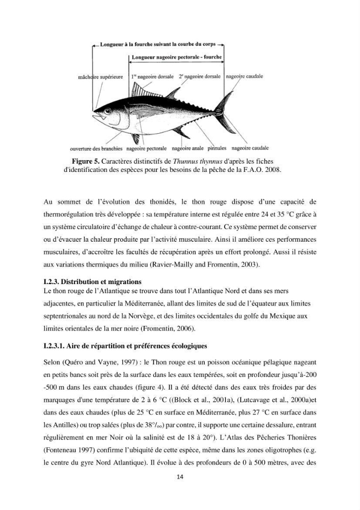 Contribution de la télédétection à la pêche du grand Pélagique Thunnus thynnus (linnaeus, 1758) dans la cote algérienne