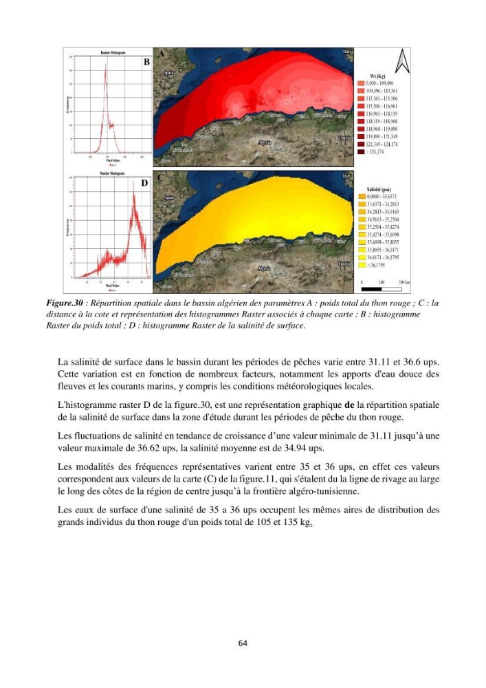 Contribution de la télédétection à la pêche du grand Pélagique Thunnus thynnus (linnaeus, 1758) dans la cote algérienne