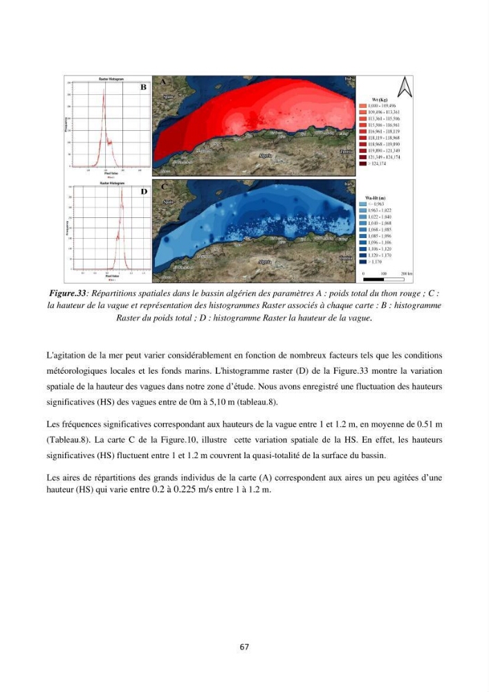 Contribution de la télédétection à la pêche du grand Pélagique Thunnus thynnus (linnaeus, 1758) dans la cote algérienne