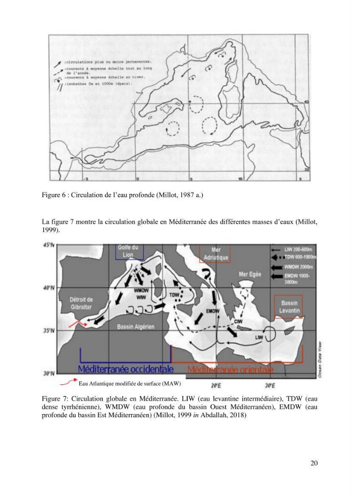 Inventaire et Systématique de quelques Invertébrés et VertébrésMarins de la côte Algérienne: