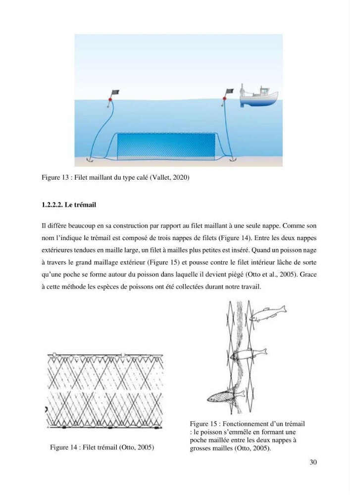Inventaire et Systématique de quelques Invertébrés et VertébrésMarins de la côte Algérienne: