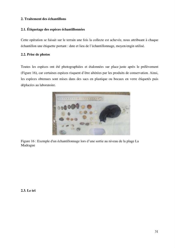 Inventaire et Systématique de quelques Invertébrés et VertébrésMarins de la côte Algérienne: