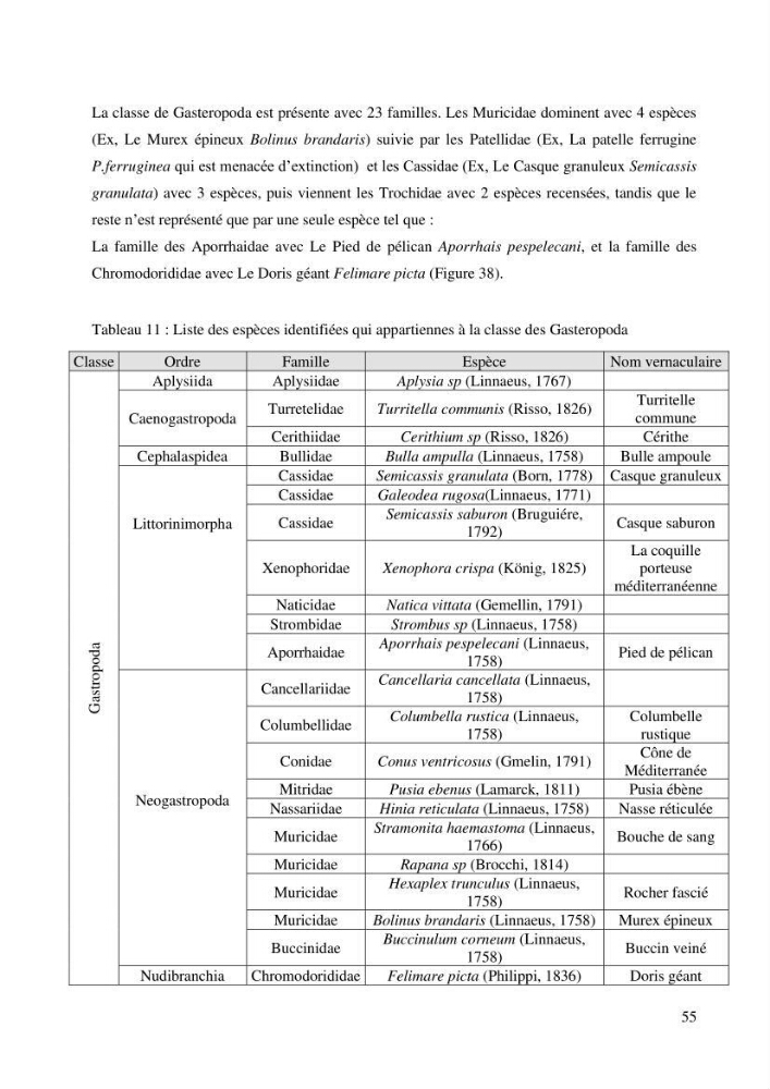 Inventaire et Systématique de quelques Invertébrés et VertébrésMarins de la côte Algérienne: