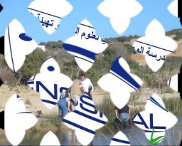 Le réseau de surveillance posidonies