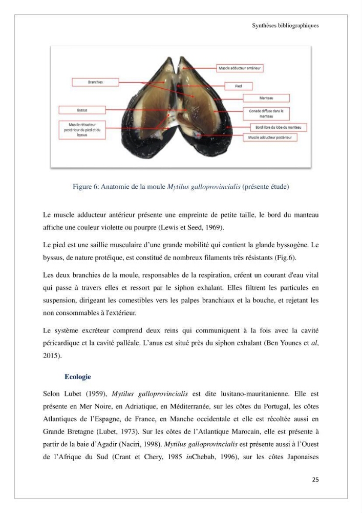 Conception d’une ferme aquacole et essai de production de naissains de bivalves