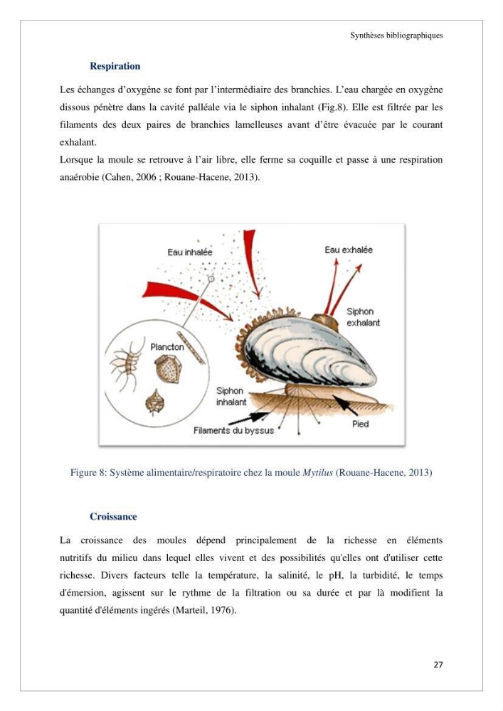 Conception d’une ferme aquacole et essai de production de naissains de bivalves