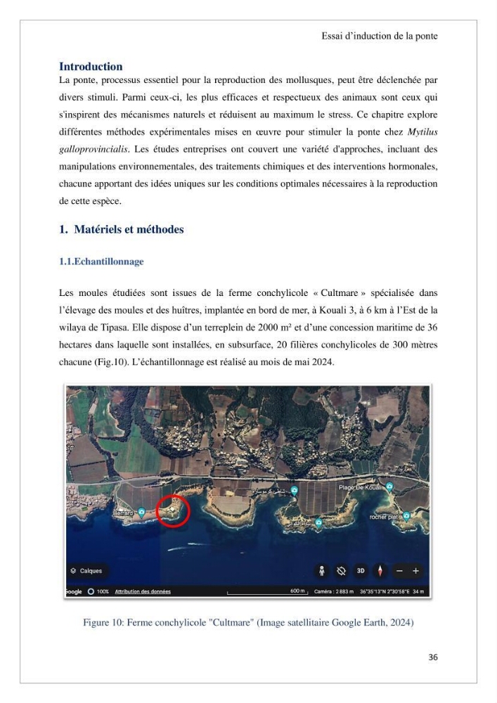 Conception d’une ferme aquacole et essai de production de naissains de bivalves
