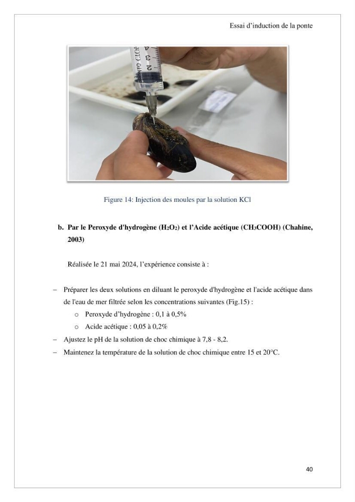 Conception d’une ferme aquacole et essai de production de naissains de bivalves
