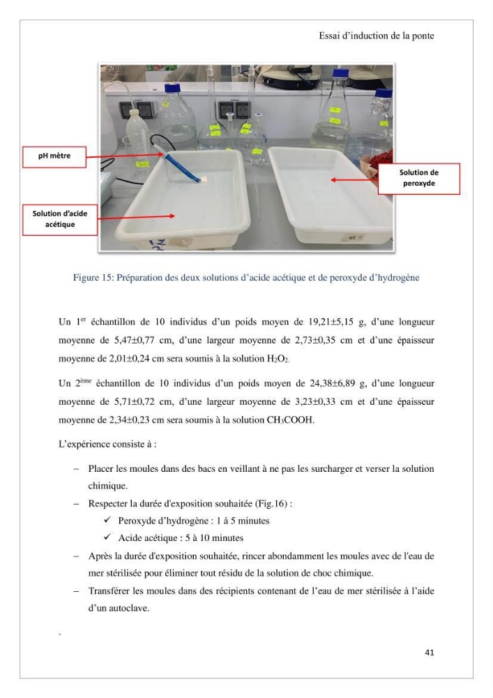 Conception d’une ferme aquacole et essai de production de naissains de bivalves