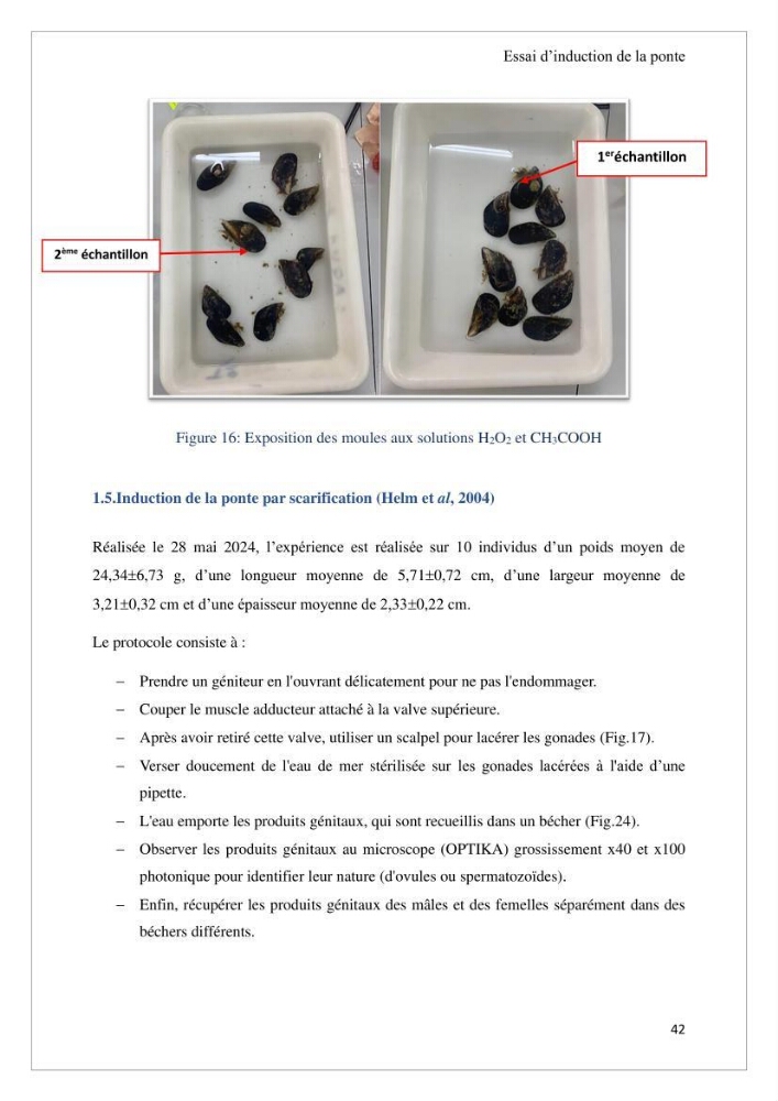 Conception d’une ferme aquacole et essai de production de naissains de bivalves
