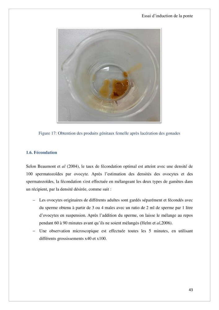 Conception d’une ferme aquacole et essai de production de naissains de bivalves