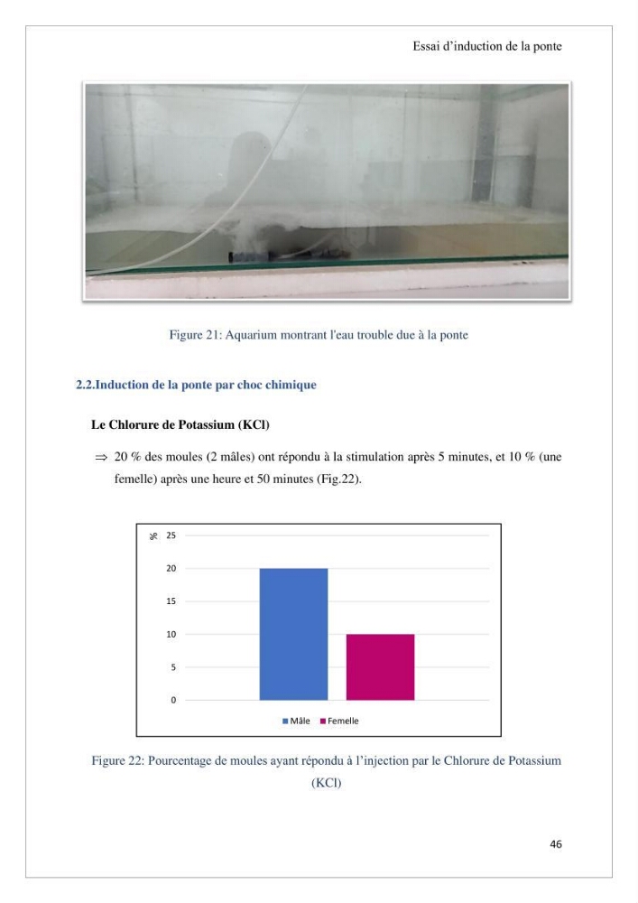Conception d’une ferme aquacole et essai de production de naissains de bivalves