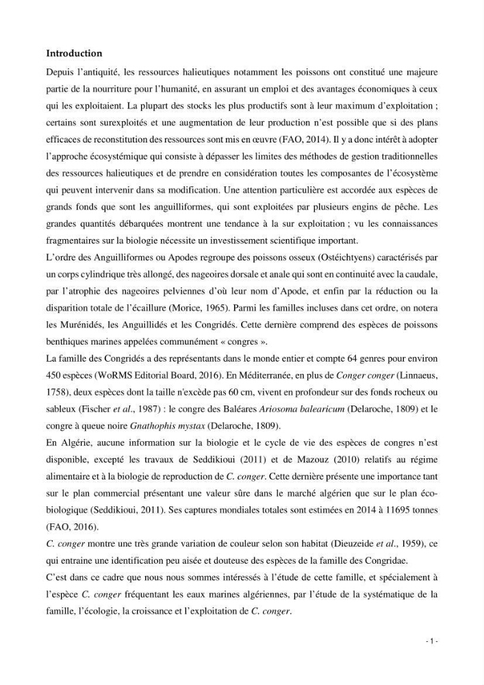 La famille des congridae ( Ostéichtyens, Anguilliformes) dans le bassin algérien