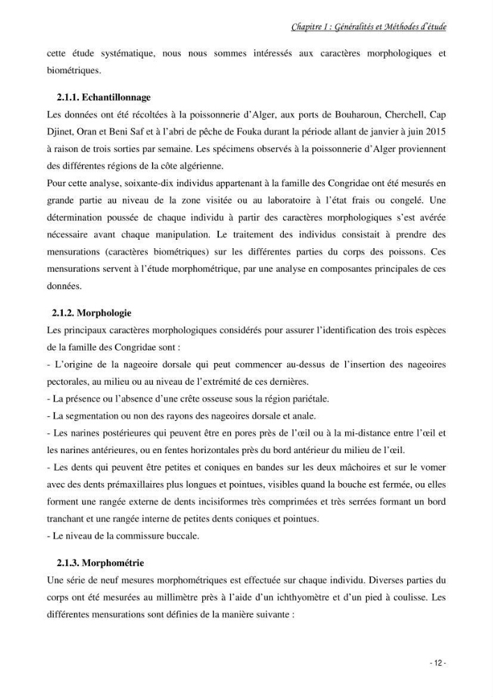 La famille des congridae ( Ostéichtyens, Anguilliformes) dans le bassin algérien