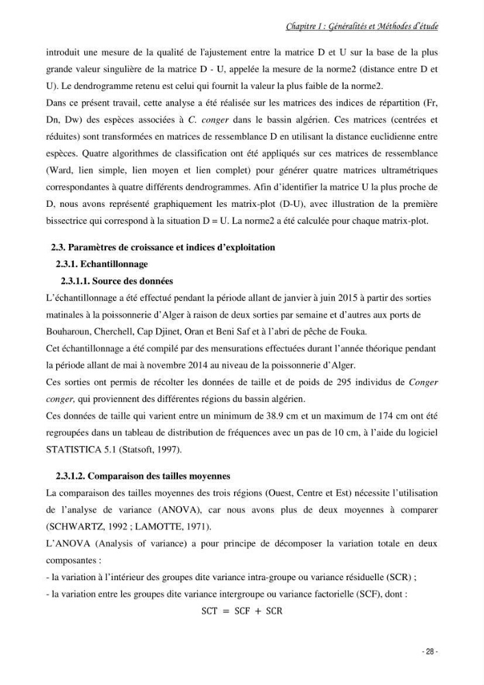 La famille des congridae ( Ostéichtyens, Anguilliformes) dans le bassin algérien