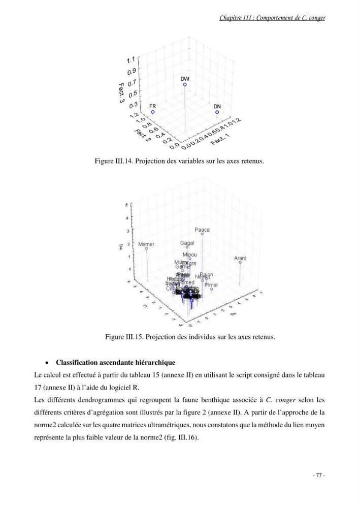 La famille des congridae ( Ostéichtyens, Anguilliformes) dans le bassin algérien