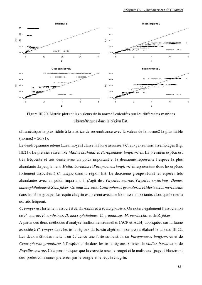 La famille des congridae ( Ostéichtyens, Anguilliformes) dans le bassin algérien