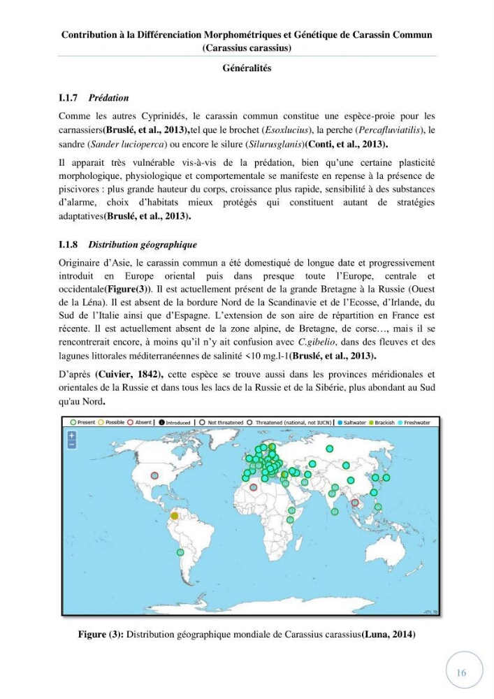 Contribution à la différenciation morphométrique et génétique des carassins communs (Carassius carassius):