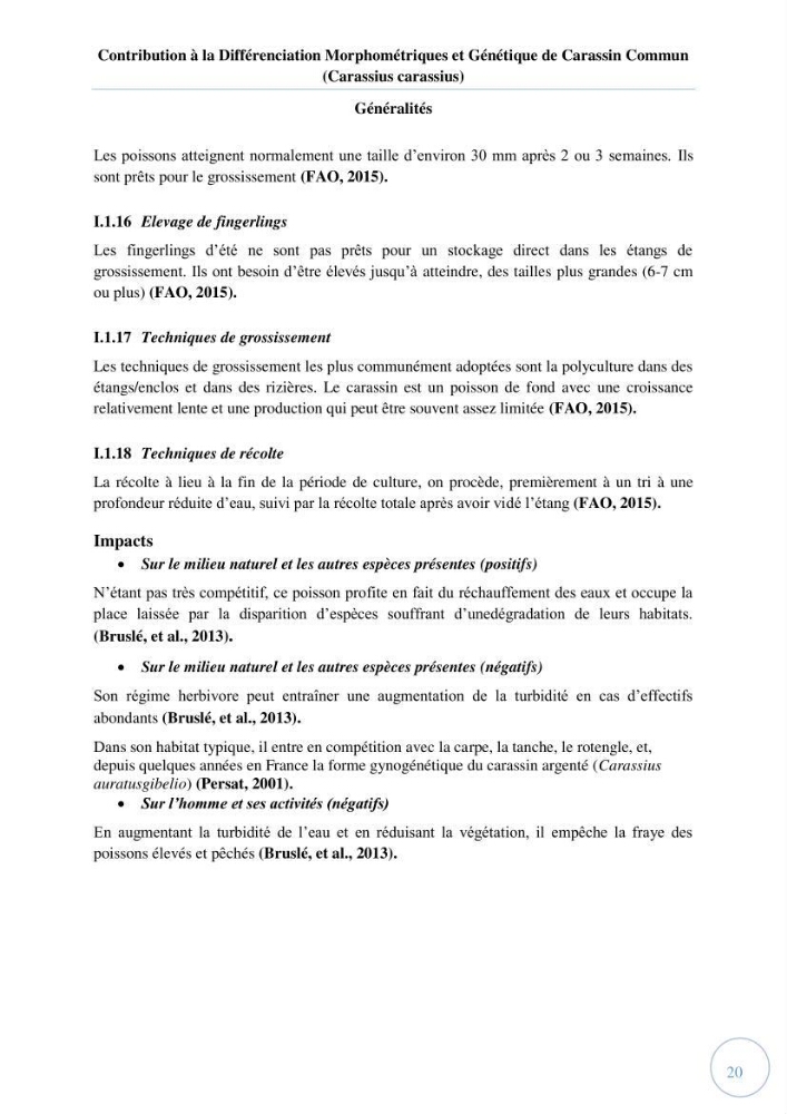 Contribution à la différenciation morphométrique et génétique des carassins communs (Carassius carassius):