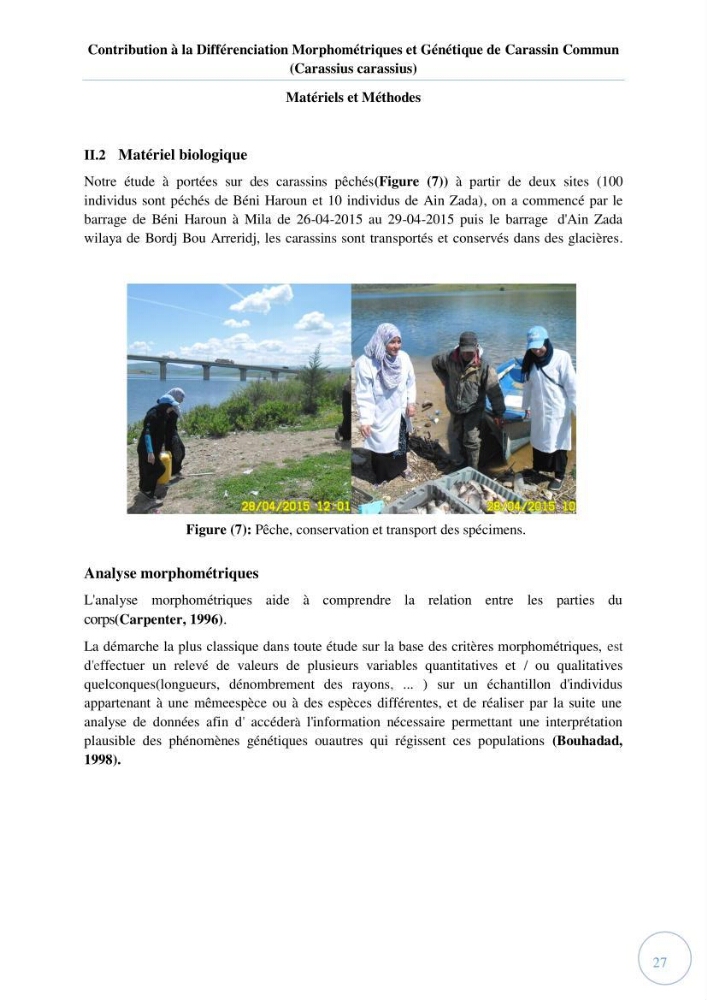 Contribution à la différenciation morphométrique et génétique des carassins communs (Carassius carassius):