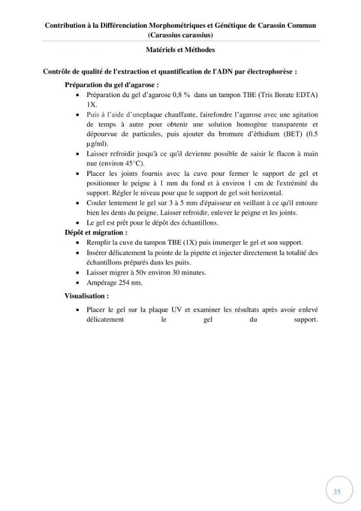 Contribution à la différenciation morphométrique et génétique des carassins communs (Carassius carassius):