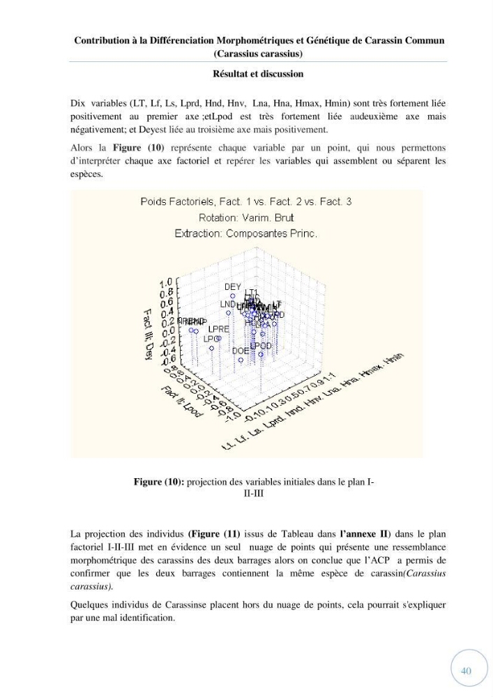 Contribution à la différenciation morphométrique et génétique des carassins communs (Carassius carassius):