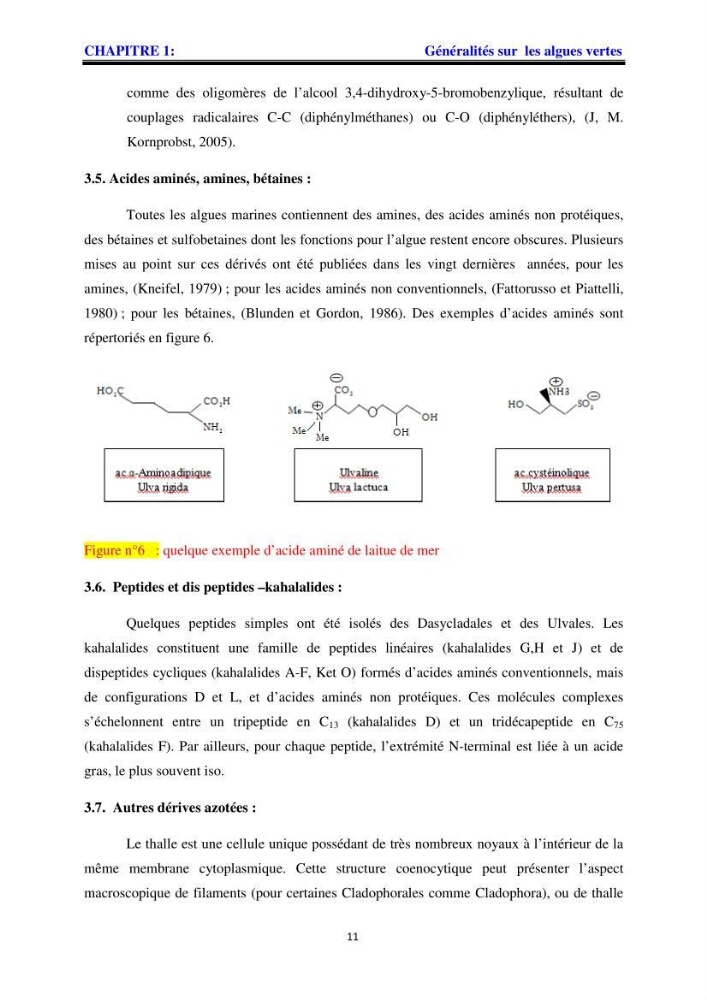 Apport pharmaceutique des algues marines en antioxydants naturels