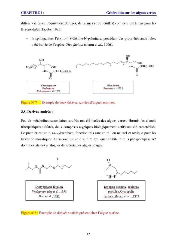 Apport pharmaceutique des algues marines en antioxydants naturels