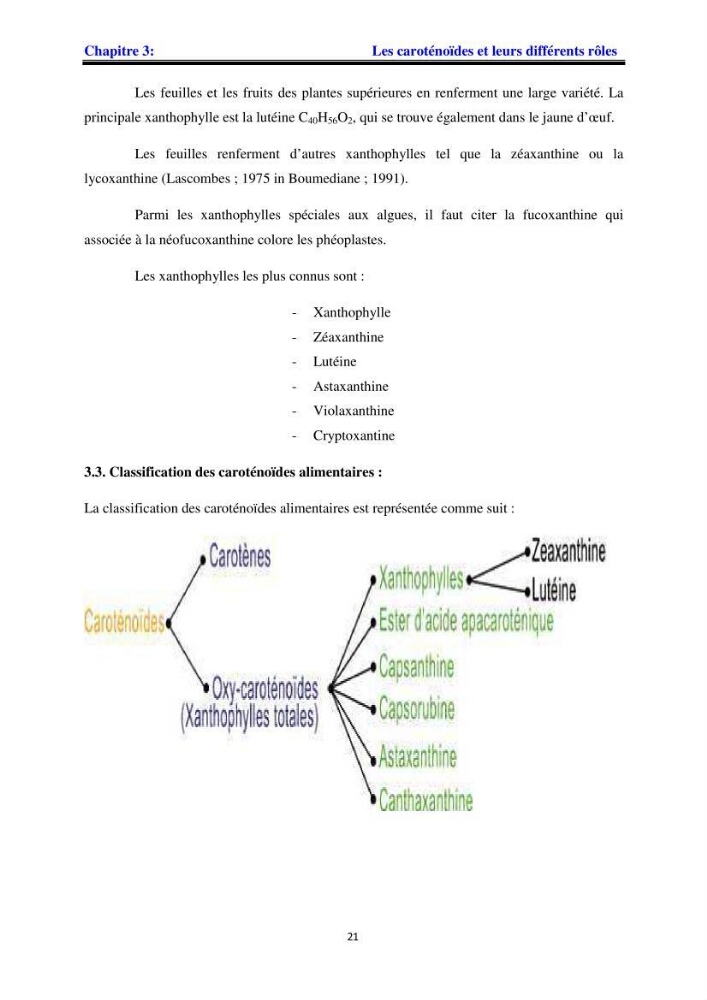 Apport pharmaceutique des algues marines en antioxydants naturels