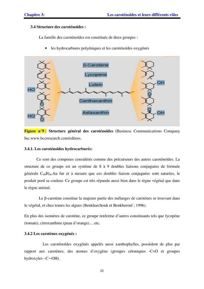 Apport pharmaceutique des algues marines en antioxydants naturels