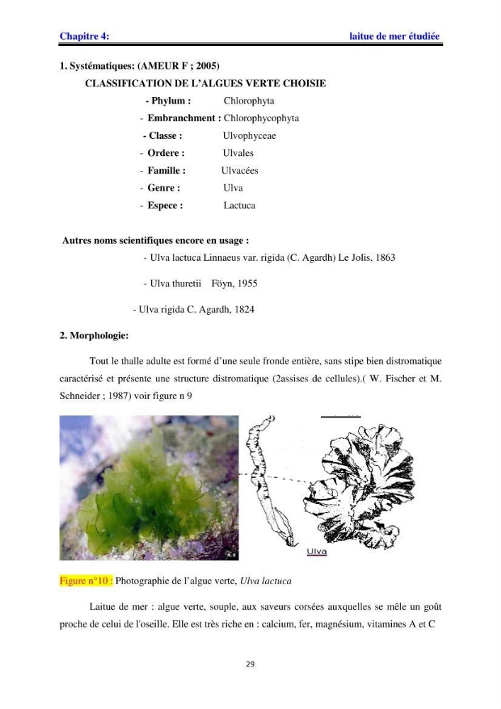 Apport pharmaceutique des algues marines en antioxydants naturels