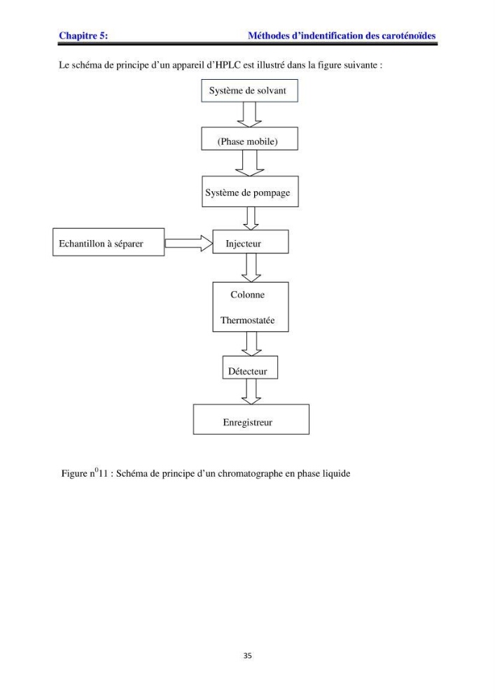 Apport pharmaceutique des algues marines en antioxydants naturels