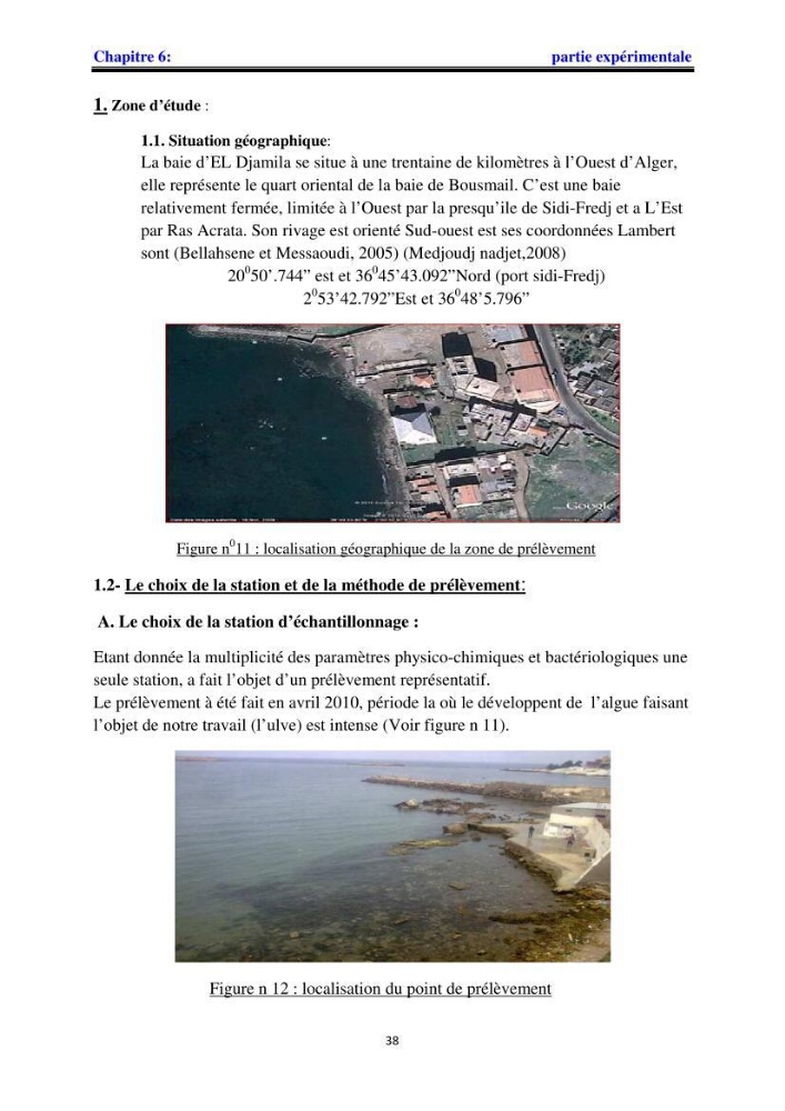 Apport pharmaceutique des algues marines en antioxydants naturels