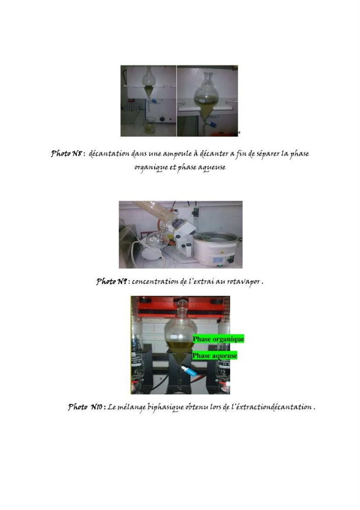Apport pharmaceutique des algues marines en antioxydants naturels